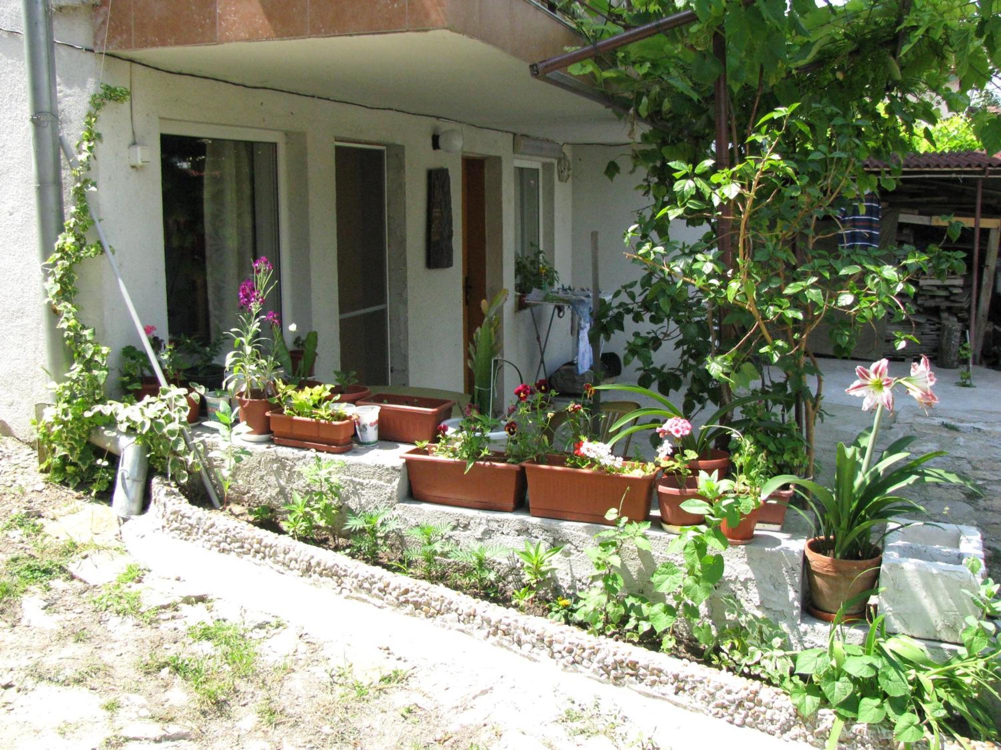 Guest House Familia Samovodene Zewnętrze zdjęcie
